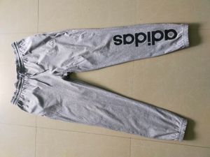 Adidas Jogger For Men