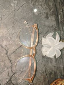 Stylish Eyeglasses