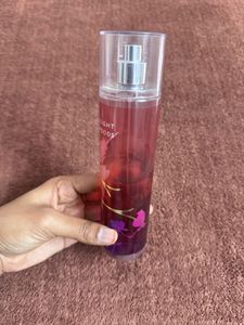 USA Imported-Twilight Woods Fine Fragrance