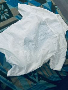 Zucci White Eyelet Short Sleeve Shirt