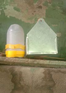 New Birds Feeding Tray