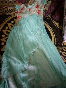 Aqua Tulle Dress with Rose Appliques