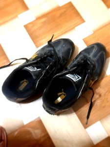 Puma Shoes
