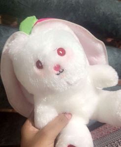 Bunny Plush Toy