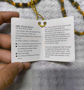 Combo Of Necklaces &amp; Bracelet + FREEBIE