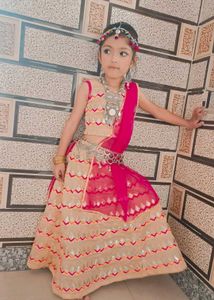 Elegant Lehenga Choli Set