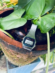 Casio Classic Watch