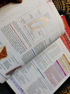 Combo BD CHAURASIA ANATOMY TEXTBOOK PART - 2&amp;3