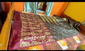 Designer Work Saree