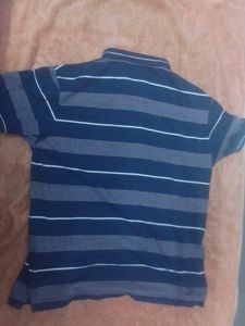 Striped Polo T-Shirt