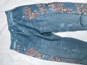 Leopard Print Woolen Jegging