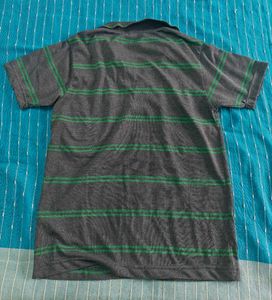 Striped Polo T-Shirt