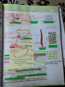 Class-XI Ncert Books