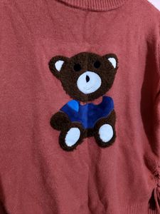 Coral Cozy Teddy Sweatshirt