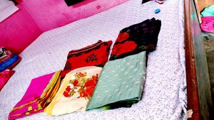 Elegant Saree Collection 5