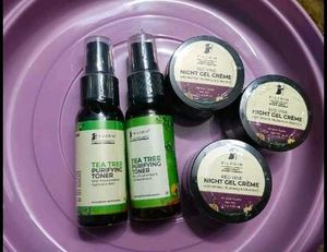 Each Item 799 Coins Pilgrim Toner + Night Cream