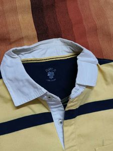 Turtle Brand Men Yellow Striped Casual Polo Tshirt