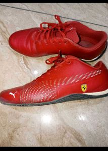 Puma Ferarri Model Shoes
