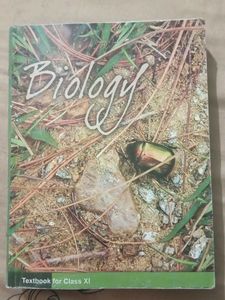 Class XI Textbooks
