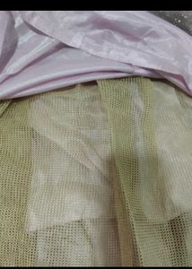 Paded Ball  Gown With Dupatta