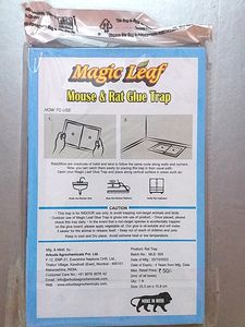 Mouse &amp; Rat Glue Trap