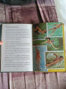 Learn About Swimming And Diving