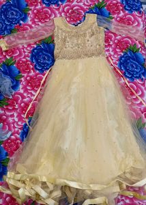 Flowy Gown with Gold Zardozi Work