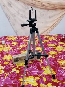 long saij