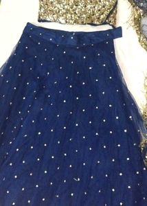 Sequin Embellished Lehenga Choli