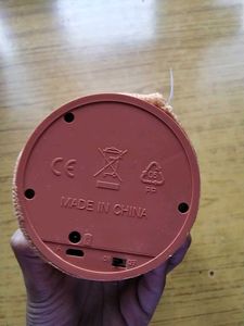 Dancing Cactus Plush Toy