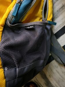 Skybags Yellow Backpack