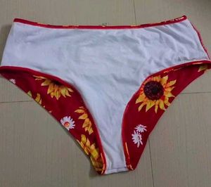 SHIEN Brief