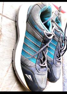 Sport Shoe
