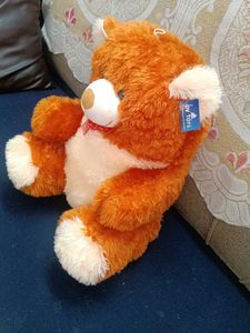 New Teddy Bear 🧸