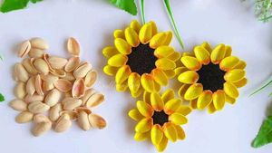 Pistachio Shells For School Projects