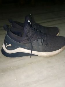 Casual, Sports Shoes