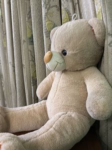 TEDDY TOY