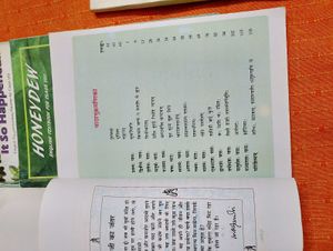 8th Class CBSE 5 Book Set