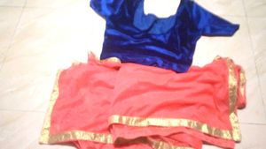 Blue Velvet Blouse (24 inch size)