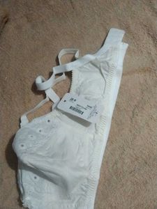 Lady Fit Lingeries - New