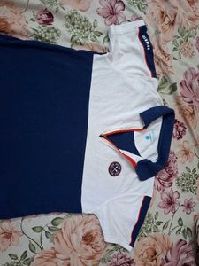 Stylish Polo T-Shirt - Blue &amp; White