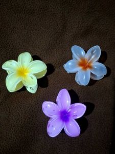 Flower Hair Clips - Set of 3