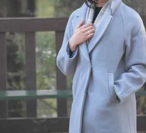 Elegant Light Blue Coat