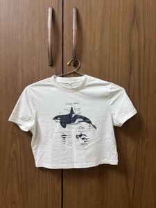 Killer Whale Graphic Tee