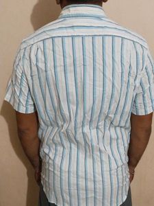 Striped Short Sleeve Button Down