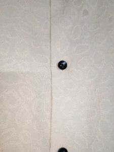 Classic Beige Long Sleeve Shirt