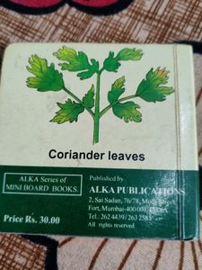 Mini Boards Books
