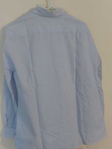 Trending Shirt