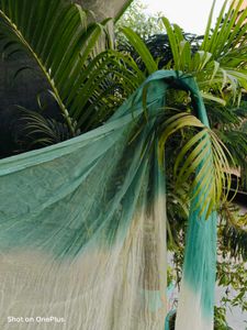 Beautiful Nature Inspired Chiffon Dupatta