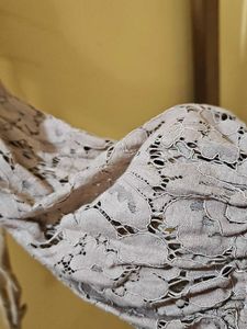 Ajio Elegant Long Sleeve Lace Top